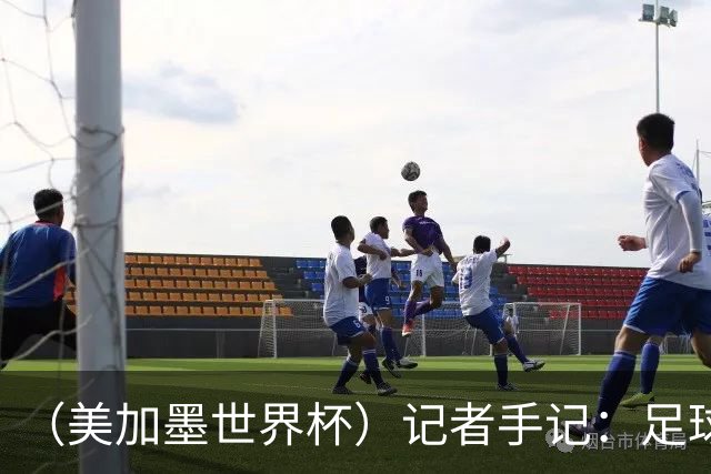 （美加墨世界杯）记者手记：足球世界，规则谁定？
